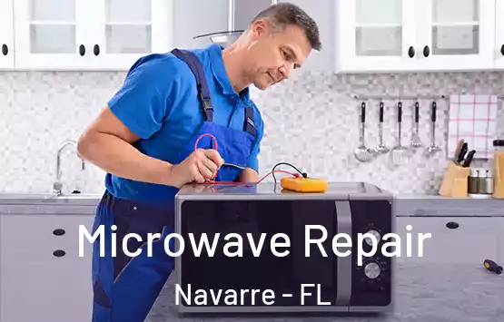 Microwave Repair Navarre - FL