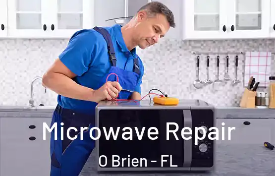  Microwave Repair O Brien - FL