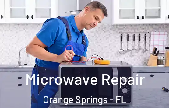  Microwave Repair Orange Springs - FL