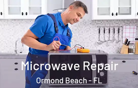  Microwave Repair Ormond Beach - FL