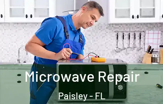  Microwave Repair Paisley - FL