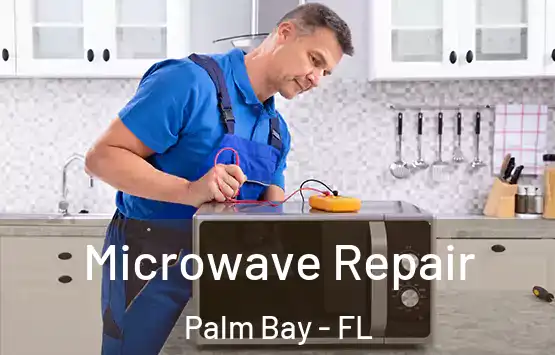  Microwave Repair Palm Bay - FL