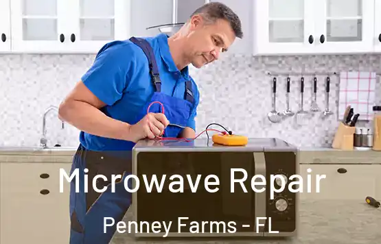  Microwave Repair Penney Farms - FL