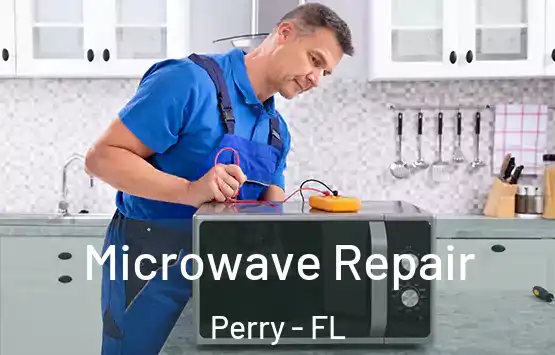  Microwave Repair Perry - FL