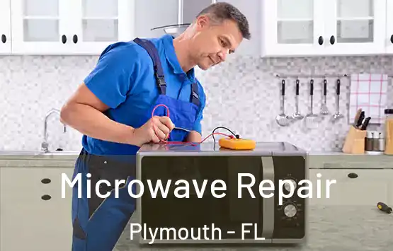 Microwave Repair Plymouth - FL