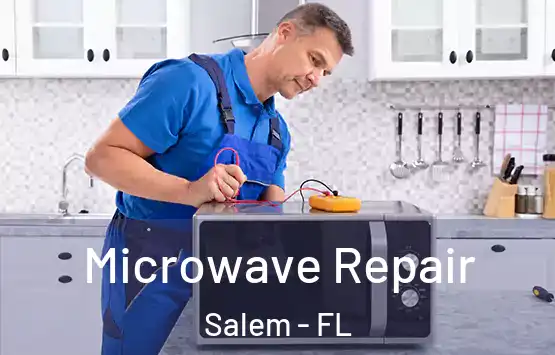  Microwave Repair Salem - FL
