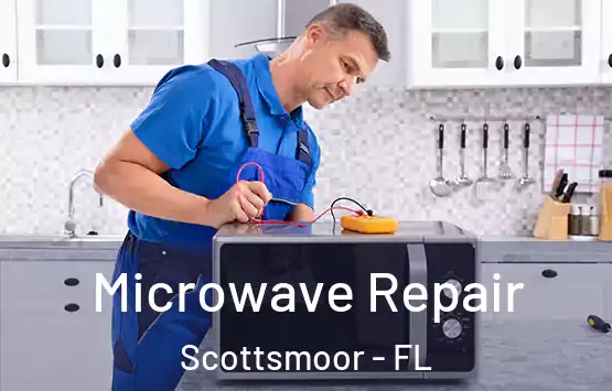  Microwave Repair Scottsmoor - FL