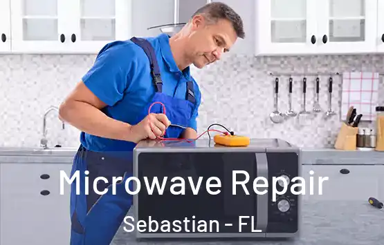  Microwave Repair Sebastian - FL