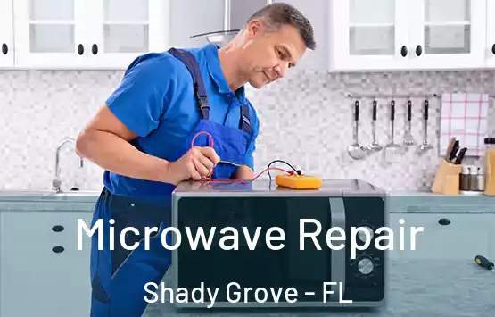  Microwave Repair Shady Grove - FL