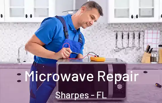  Microwave Repair Sharpes - FL