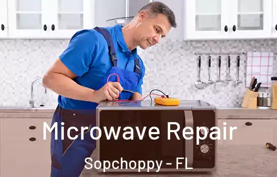  Microwave Repair Sopchoppy - FL