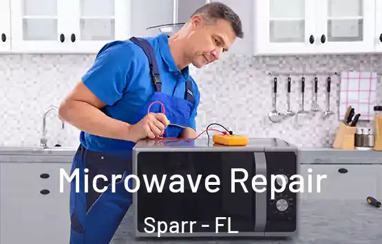  Microwave Repair Sparr - FL