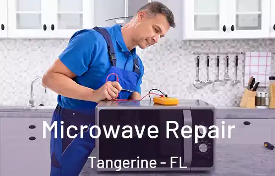  Microwave Repair Tangerine - FL