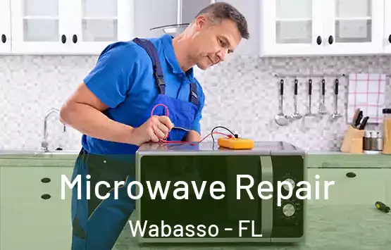  Microwave Repair Wabasso - FL