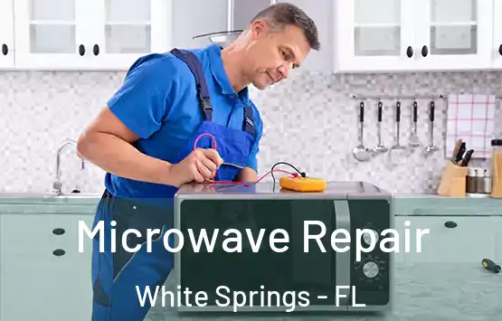  Microwave Repair White Springs - FL