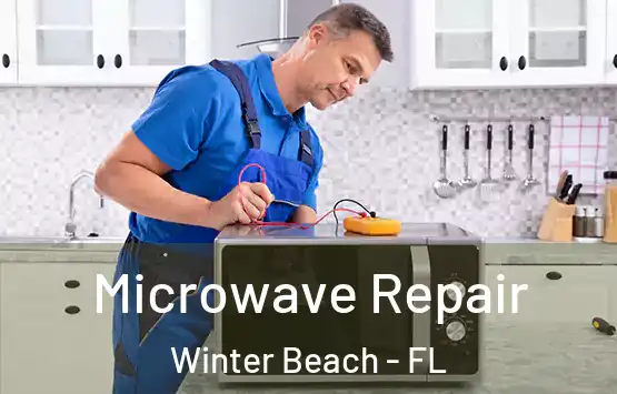  Microwave Repair Winter Beach - FL
