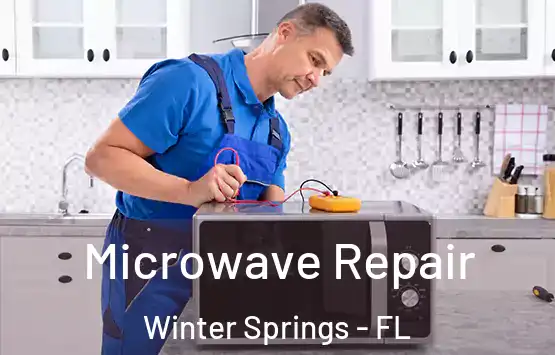  Microwave Repair Winter Springs - FL