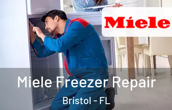  Miele Freezer Repair Bristol - FL