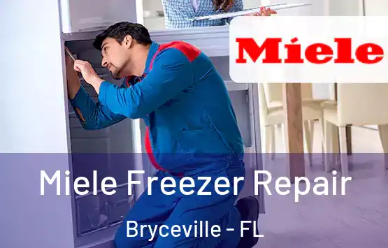  Miele Freezer Repair Bryceville - FL