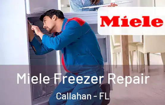  Miele Freezer Repair Callahan - FL