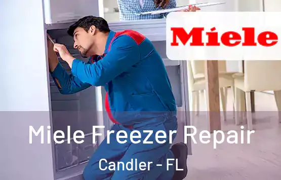  Miele Freezer Repair Candler - FL
