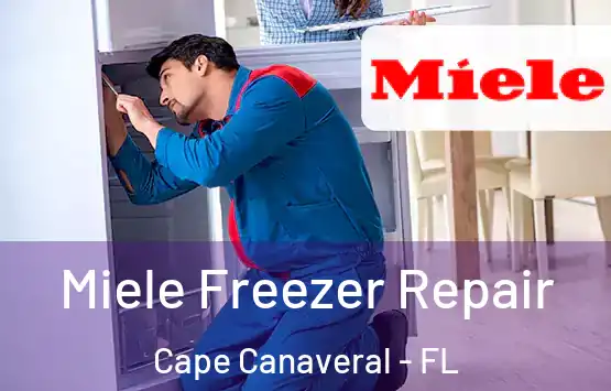  Miele Freezer Repair Cape Canaveral - FL