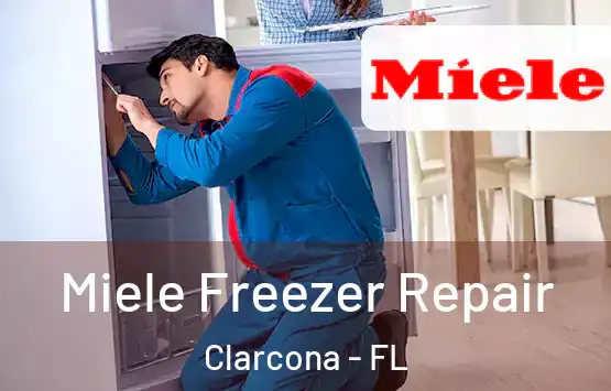  Miele Freezer Repair Clarcona - FL