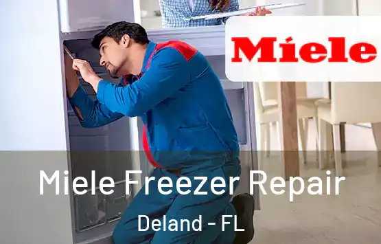  Miele Freezer Repair Deland - FL