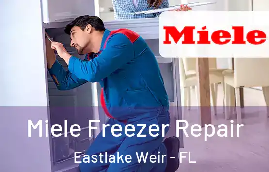  Miele Freezer Repair Eastlake Weir - FL