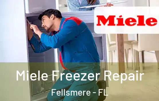  Miele Freezer Repair Fellsmere - FL