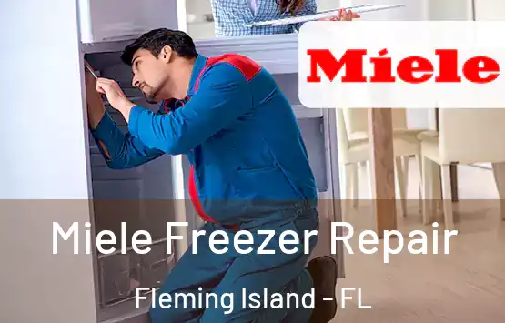 Miele Freezer Repair Fleming Island - FL