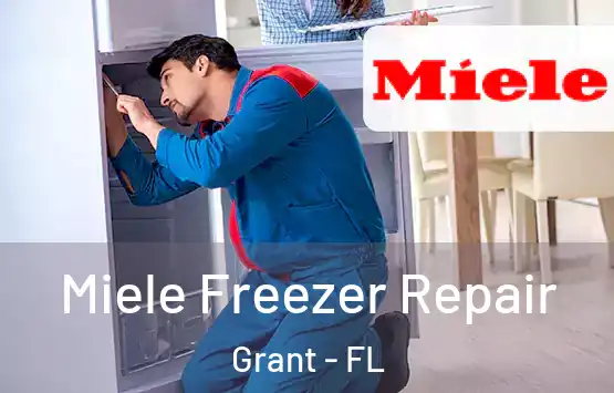  Miele Freezer Repair Grant - FL