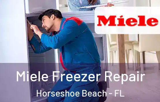  Miele Freezer Repair Horseshoe Beach - FL