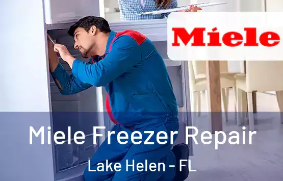  Miele Freezer Repair Lake Helen - FL