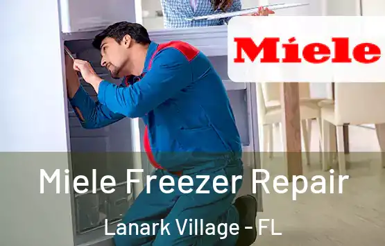  Miele Freezer Repair Lanark Village - FL