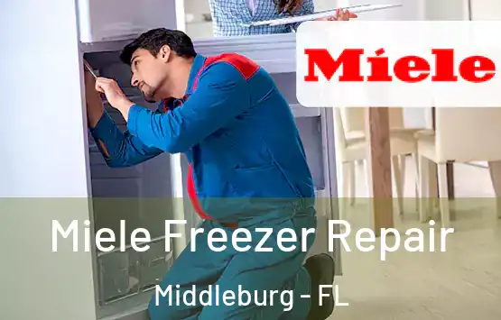  Miele Freezer Repair Middleburg - FL