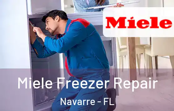  Miele Freezer Repair Navarre - FL