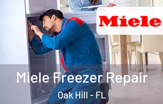  Miele Freezer Repair Oak Hill - FL