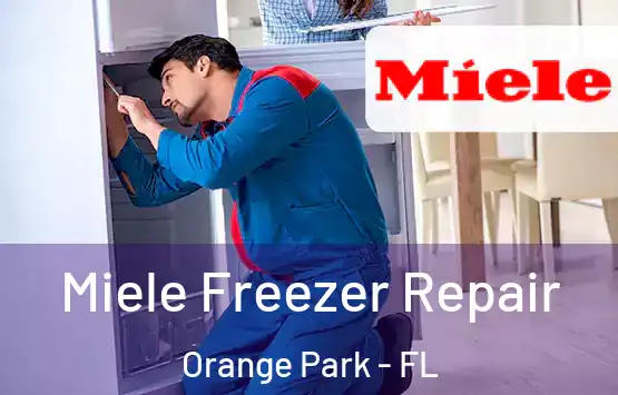  Miele Freezer Repair Orange Park - FL
