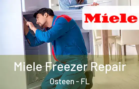  Miele Freezer Repair Osteen - FL