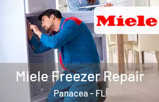  Miele Freezer Repair Panacea - FL