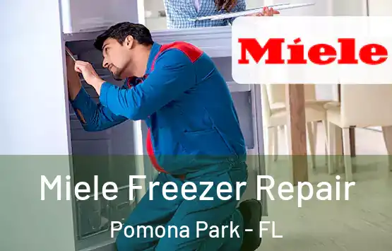  Miele Freezer Repair Pomona Park - FL