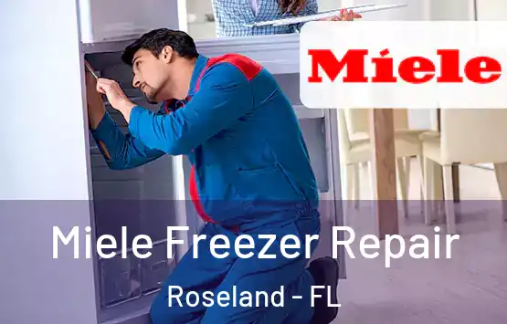  Miele Freezer Repair Roseland - FL
