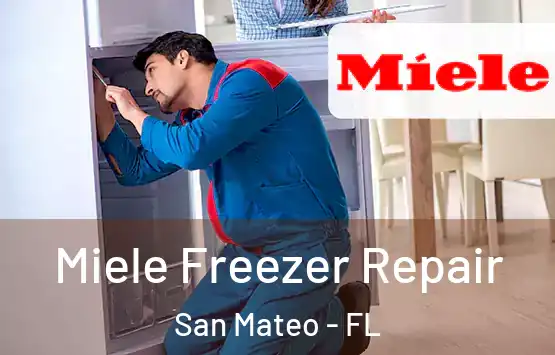  Miele Freezer Repair San Mateo - FL