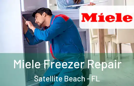  Miele Freezer Repair Satellite Beach - FL