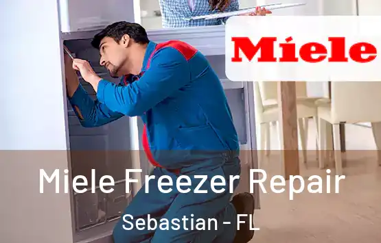  Miele Freezer Repair Sebastian - FL