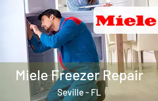  Miele Freezer Repair Seville - FL