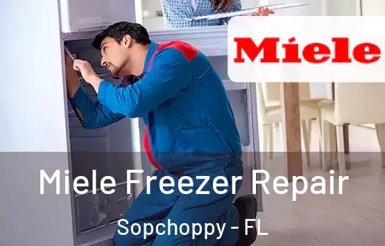  Miele Freezer Repair Sopchoppy - FL