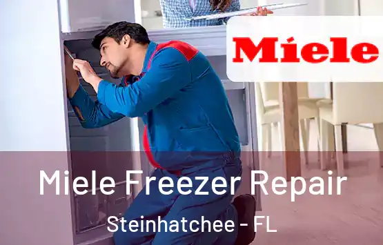  Miele Freezer Repair Steinhatchee - FL
