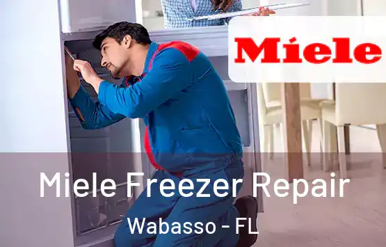  Miele Freezer Repair Wabasso - FL